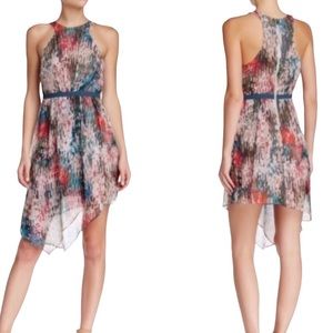 Elizabeth and James Silk Asymmetrical Liv Dress